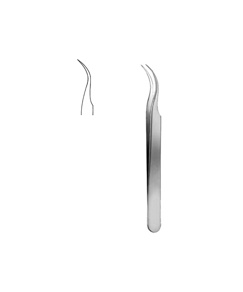 Jeweler Type Forceps #5